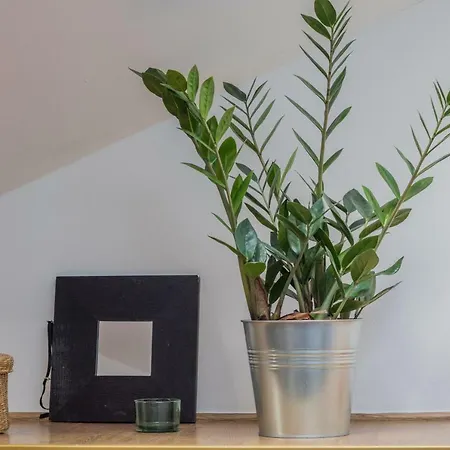 Apartament Golden Apartments&a4 *