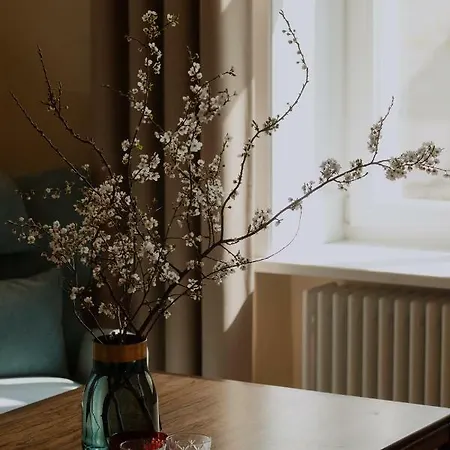 Apartmán Michalowskiego 11 *