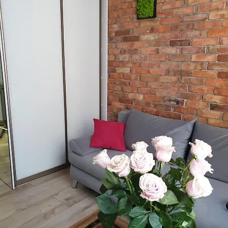 Loft-to-be Apartment Krakow