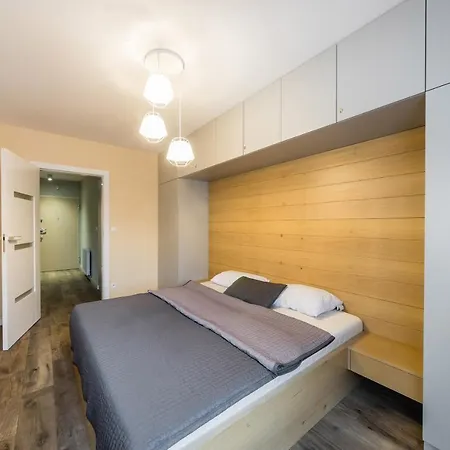 Apartment Rakowicka 14 Deluxe Old Town Wawelofts *