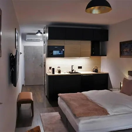 Boutique 109 - Old City, Luxury Apt. With A Garage Krakow
