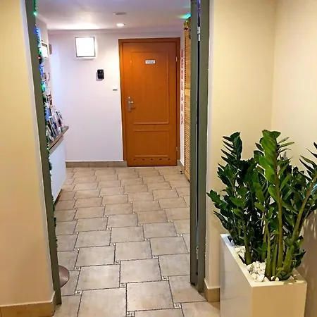 Amber Hostel *