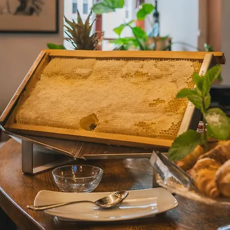 Ventus Rosa Boutique Aparthotel Krakow